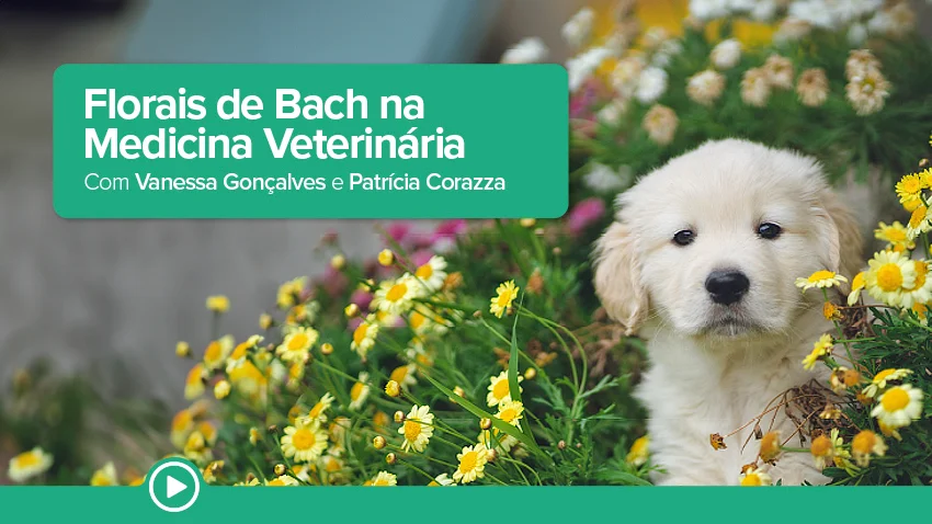 Florais de Bach na Medicina Veterinária